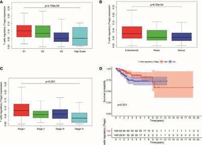 Development and Clinical Validation of Novel 8-Gene Prognostic Signature Associated With the Proportion of Regulatory T Cells by Weighted Gene Co-Expression Network Analysis in Uterine Corpus Endometrial Carcinoma